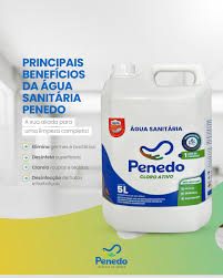 Agua Sanitaria 5L Penedo